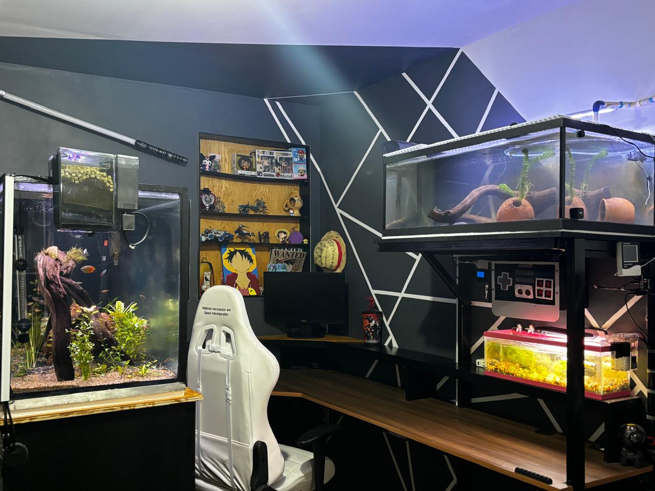 Mi escritorio de trabajo, donde conviven mis pasiones: la acuariofilia, la programación y los videojuegos.