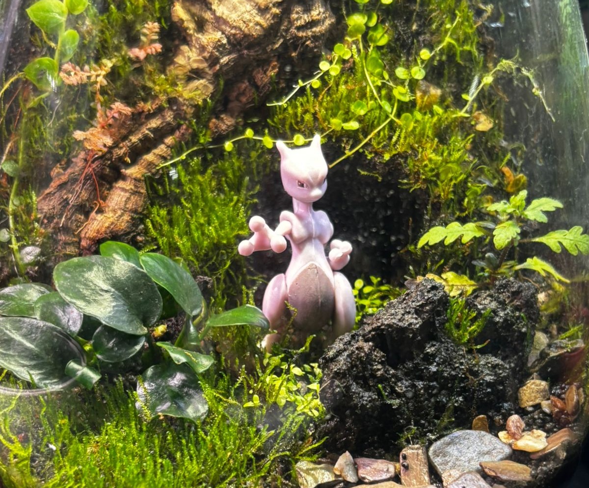 Paludario pequeño ambientado en Pokémon con plantas naturales vivas autosuficientes.